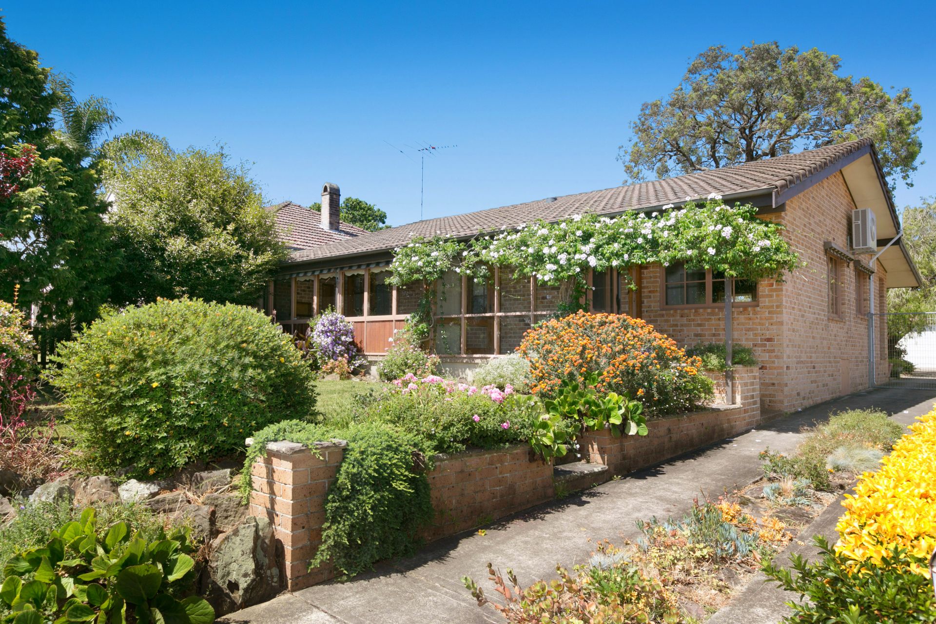 474 Pacific Highway, Asquith Allen & Sheppard