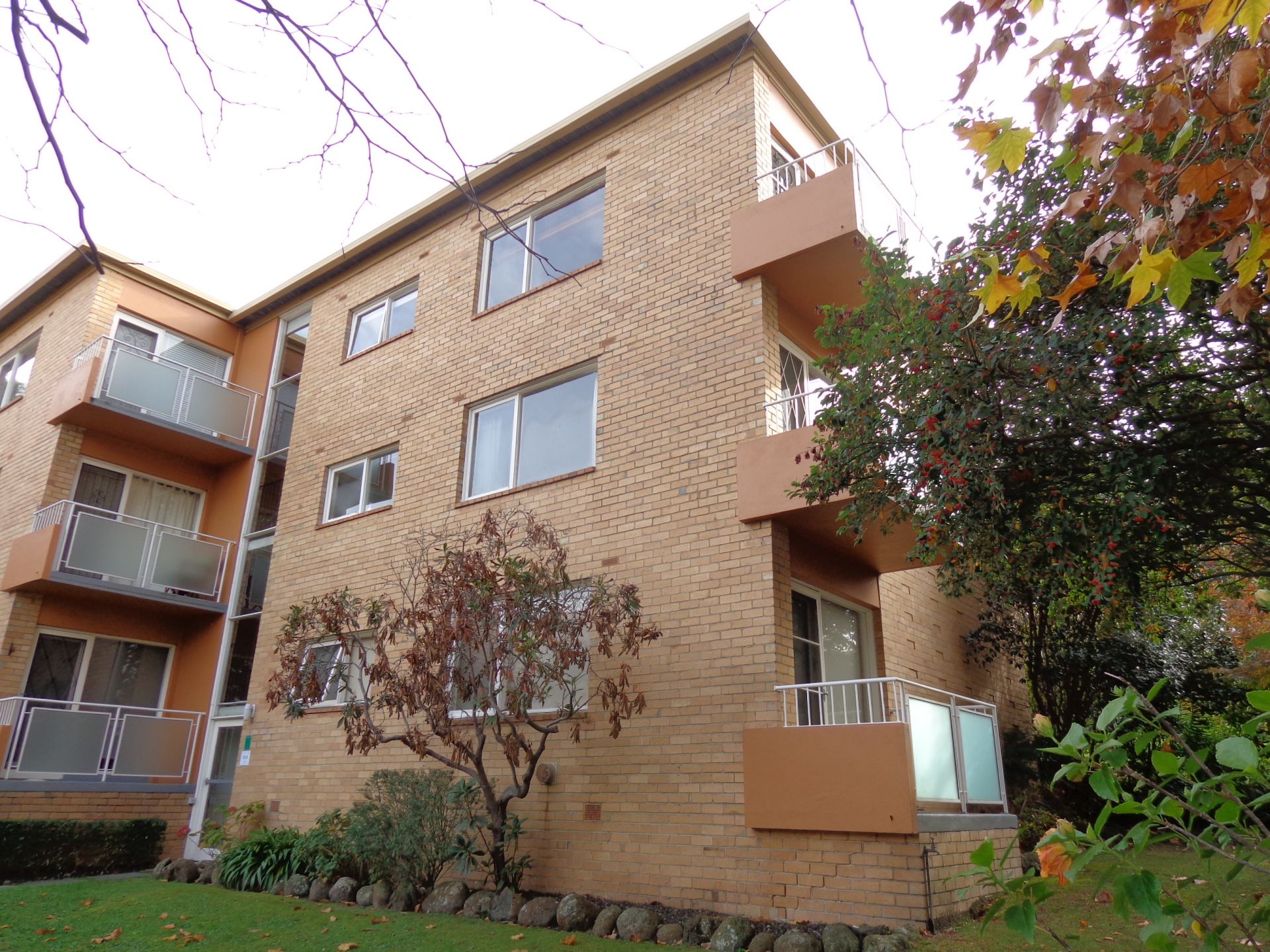 **Spacious and sunny**
