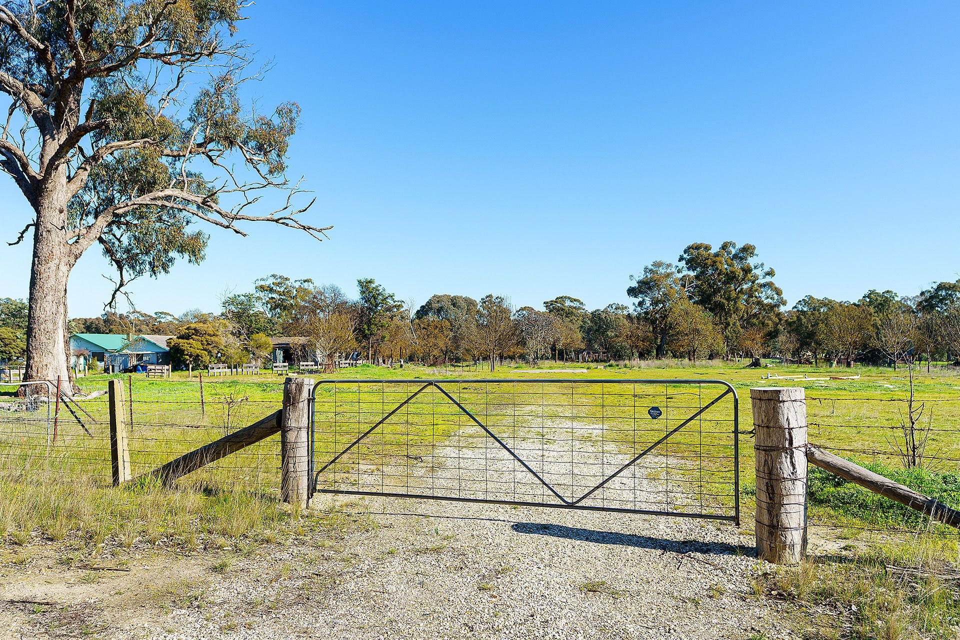 Lot 12 Cambrey Lane, Mangalore VIC 3663