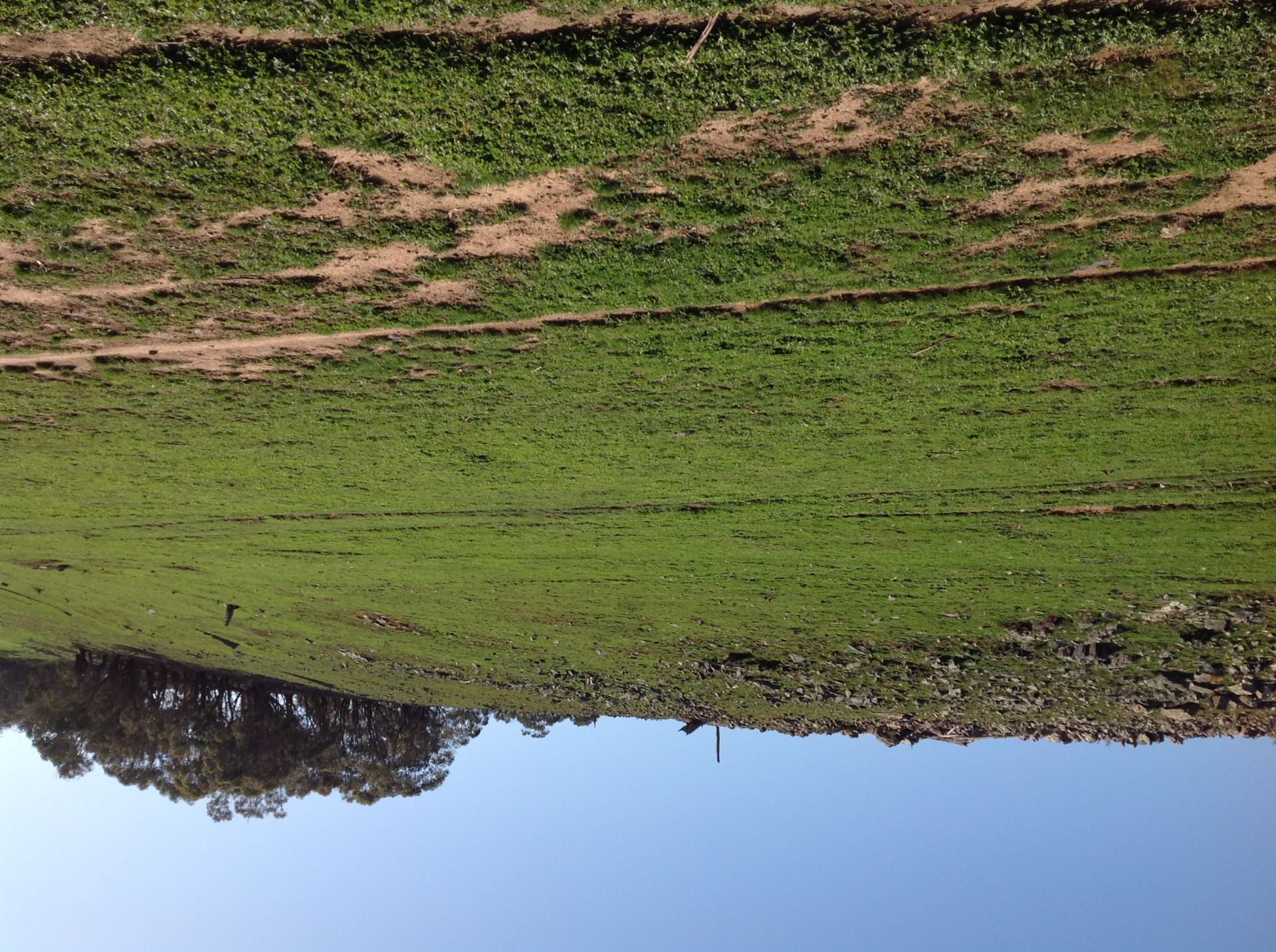 90 Colandal Lane, Rye Park NSW, Rye Park - Thumbnail 6