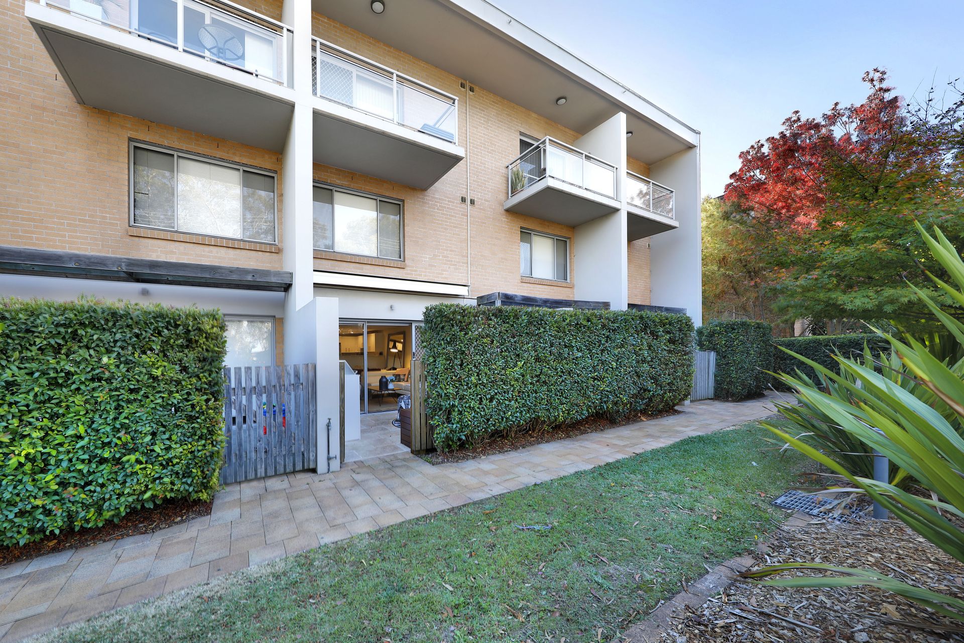 13/11 Chapman Street, Gymea, Gymea - Thumbnail 7