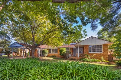 13 Bambara Road, Frenchs Forest