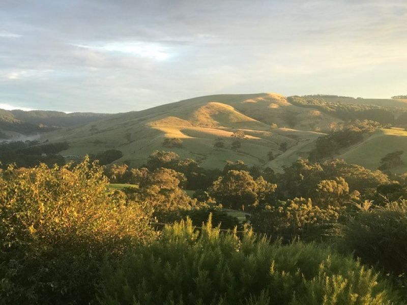 313 Barham River Road, Apollo Bay, VIC, Apollo Bay - Thumbnail 5