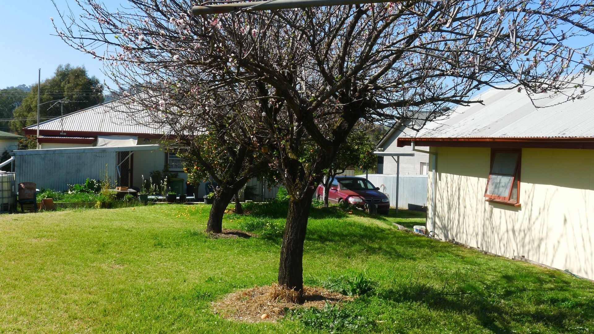 85 Wigg Street Wodonga VIC, Wodonga - Thumbnail 3