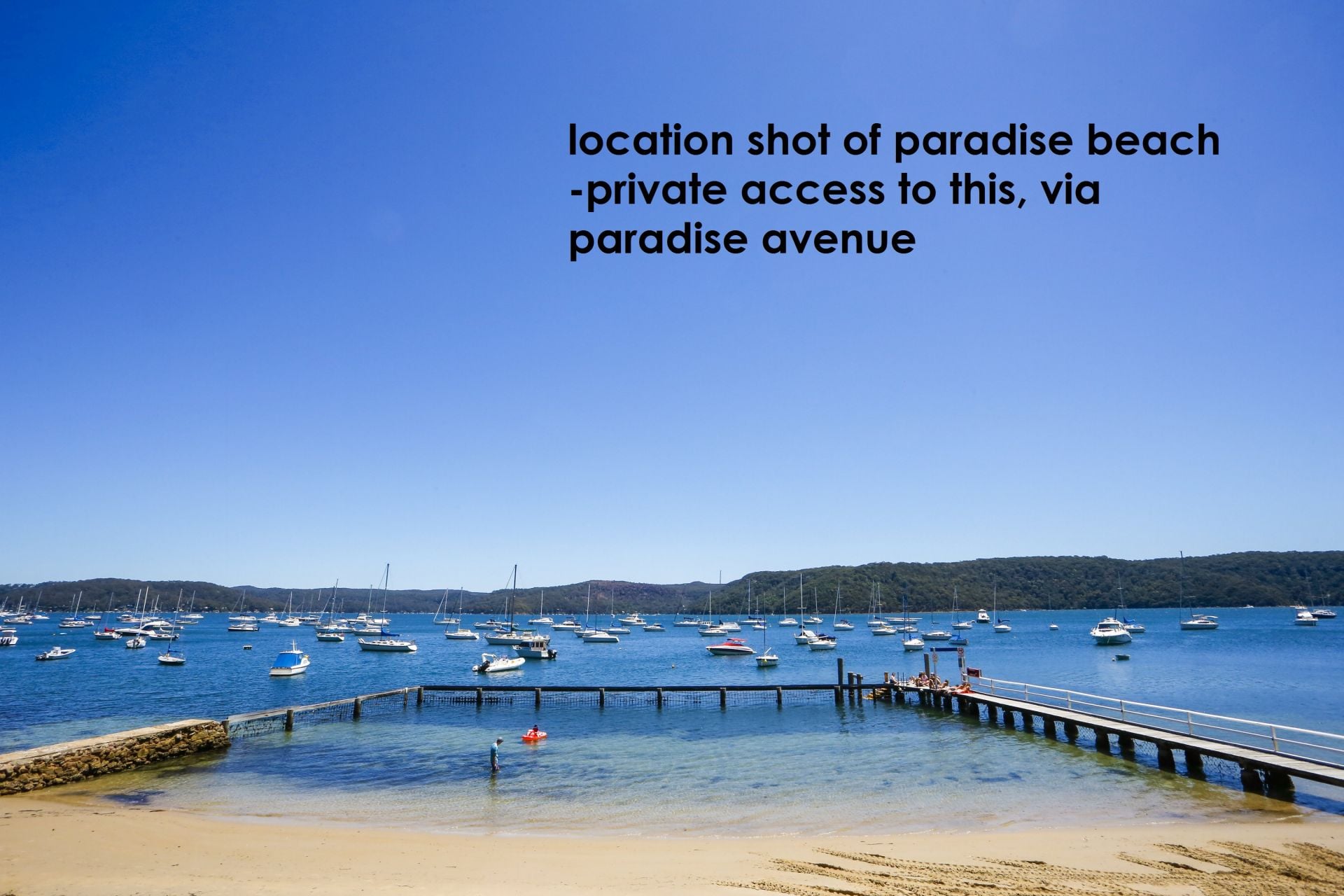 55 Riverview Road Avalon NSW, Avalon - Thumbnail 3