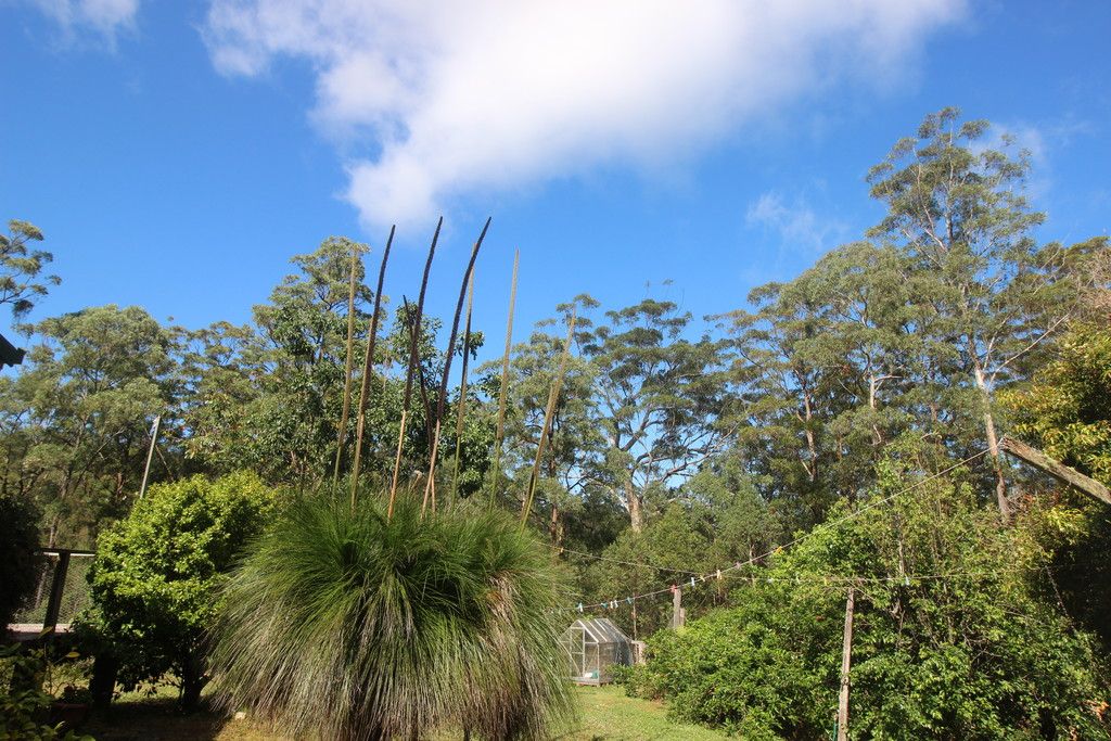 , TELEGRAPH POINT NSW 2441