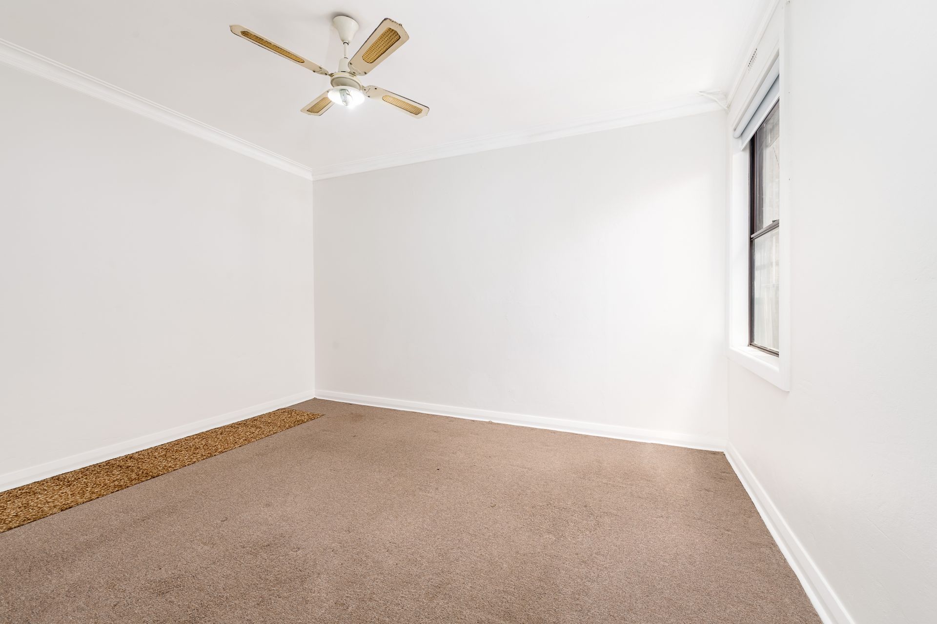 Retail Shop Plus Upstairs Apartment with Parking