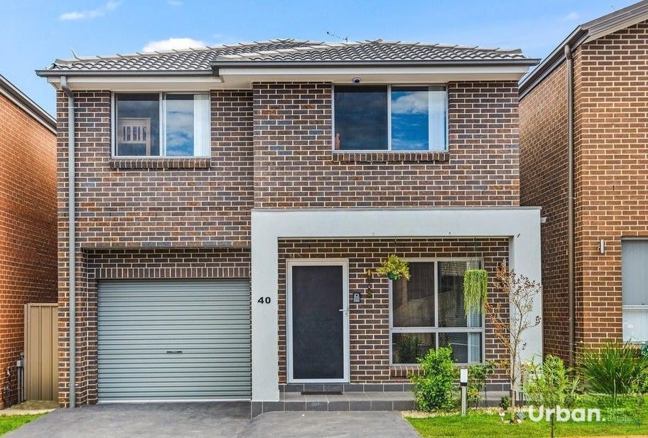 Schofields 40 Ludhiana Glade