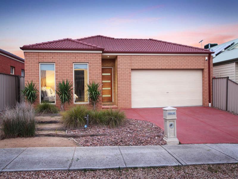 20 Wills Terrace, Burnside Heights - Thumbnail 2