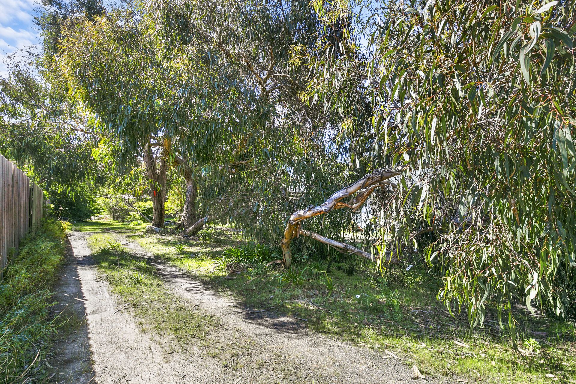 15 Eagle Avenue, Anglesea - Thumbnail 7