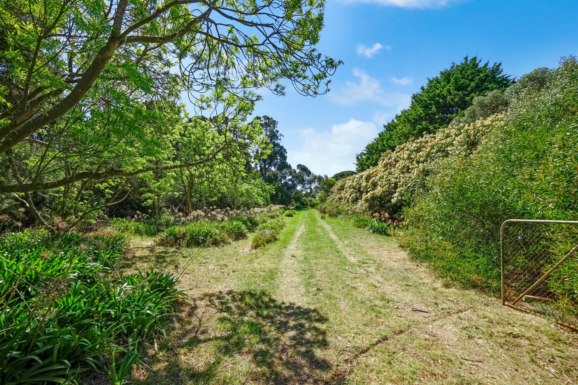 24 Mackrell Road, Dereel, Dereel - Thumbnail 3