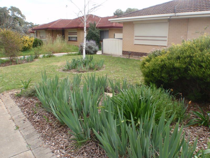 11 McCarthy Court Pooraka 5095