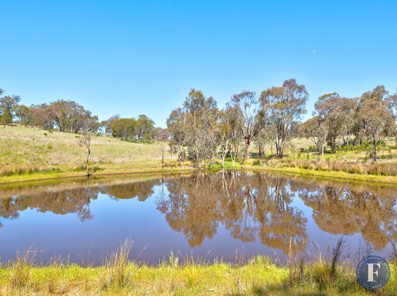 15 Elliotts Road, Crowther NSW, Crowther - Thumbnail 3