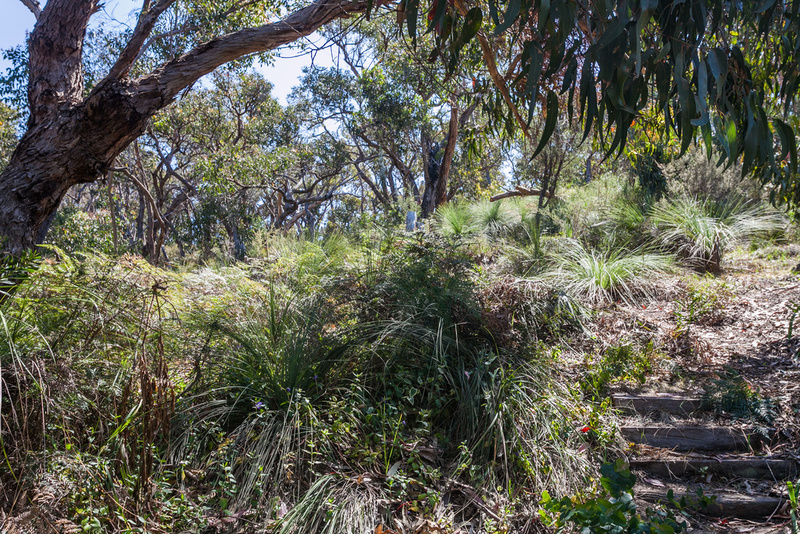 30 Niblick Street, Anglesea, VIC, Anglesea - Thumbnail 5
