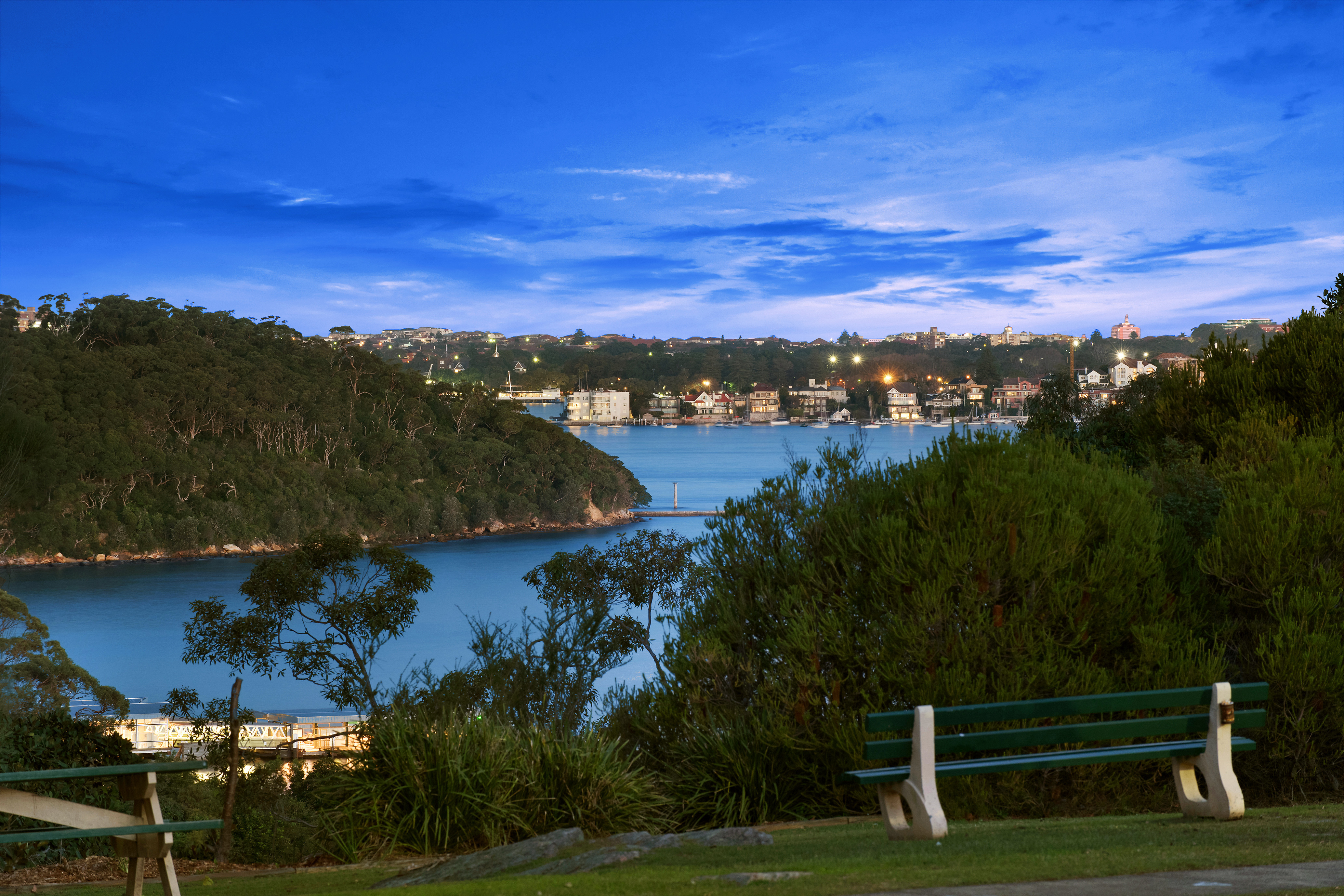 30 Raglan Street  Mosman 2088