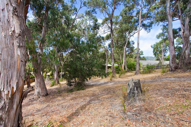 1-3/13-15 Normanby Terrace, Lorne, VIC, Lorne - Thumbnail 4