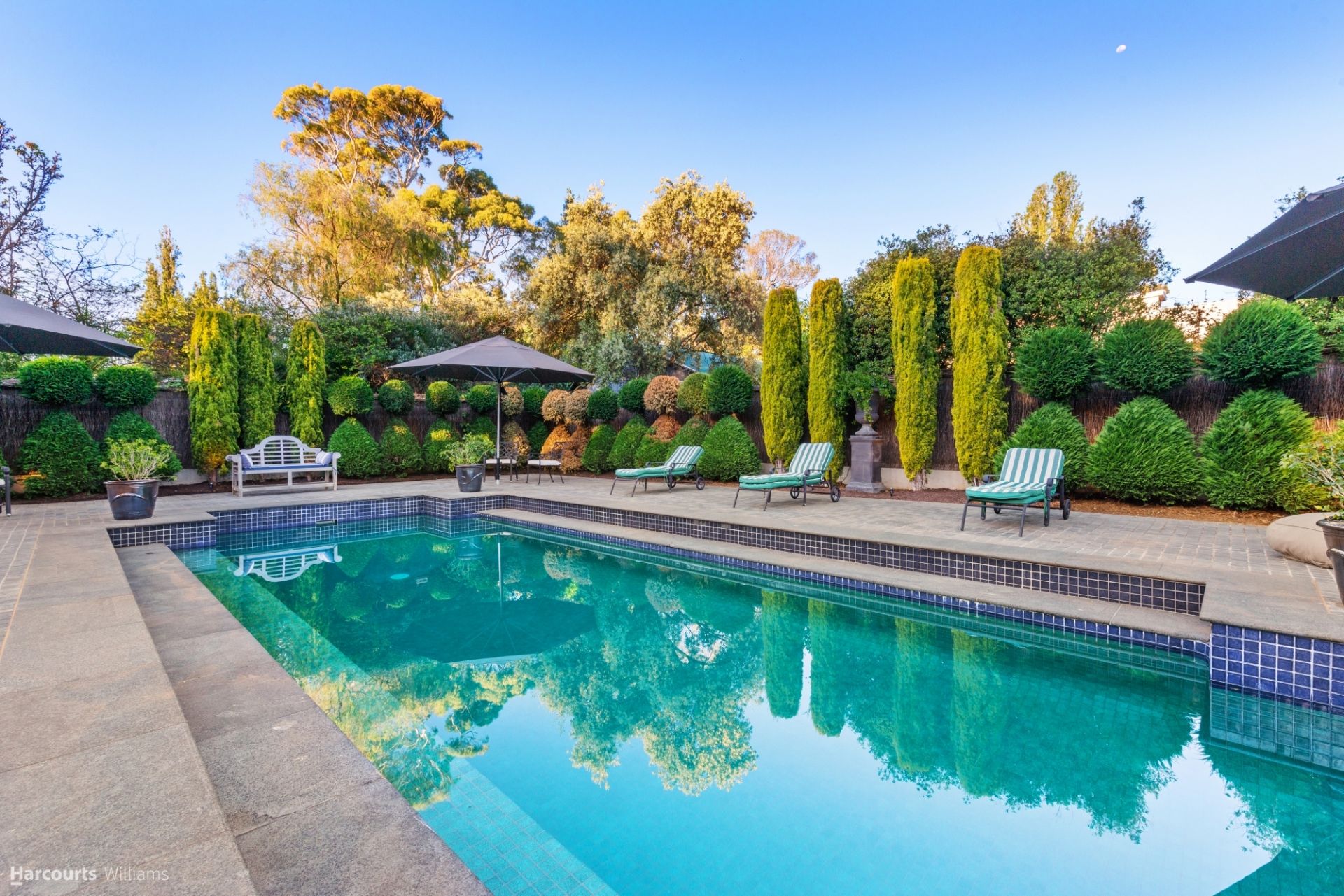 7 Victoria Avenue, Unley Park Williams Real Estate