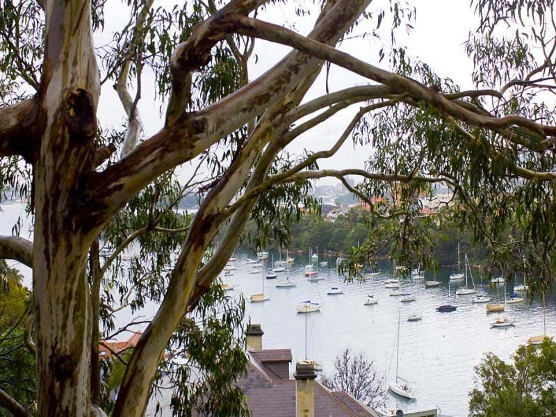 14/6 McLeod Street MOSMAN NSW, Mosman - Thumbnail 2