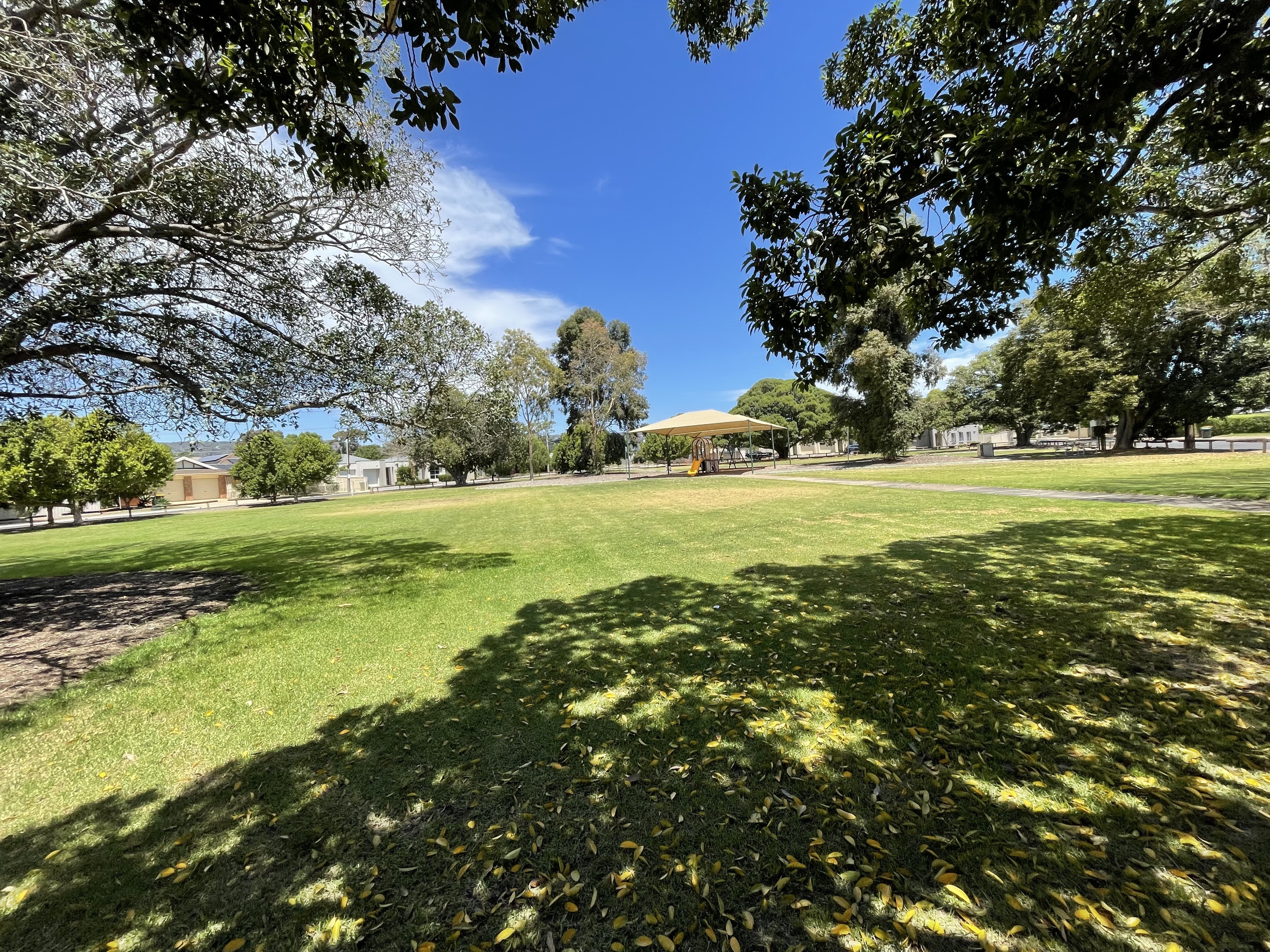 28 Fisher Street  Magill 5072