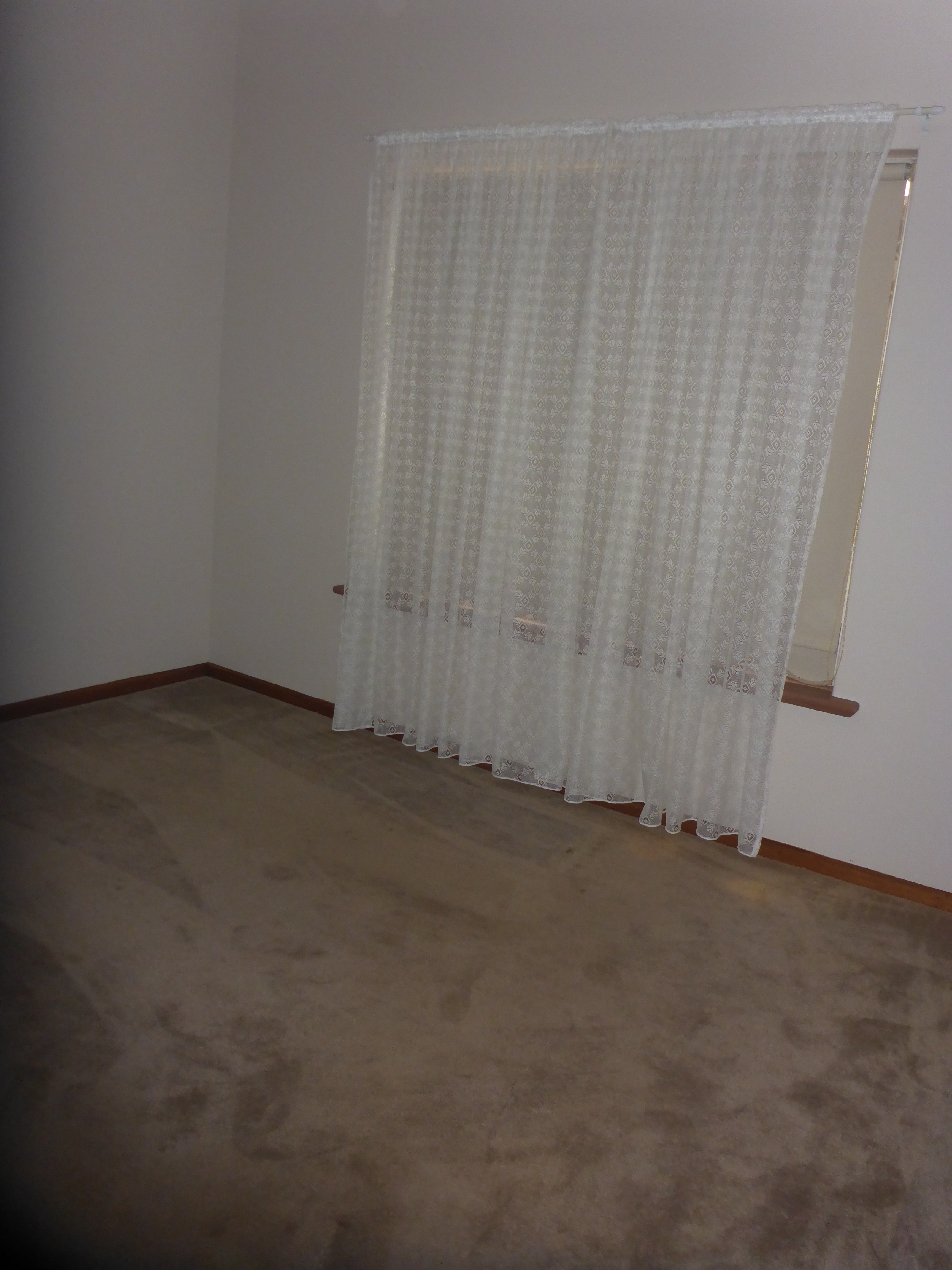 16 Wynette Street Pennington 5013