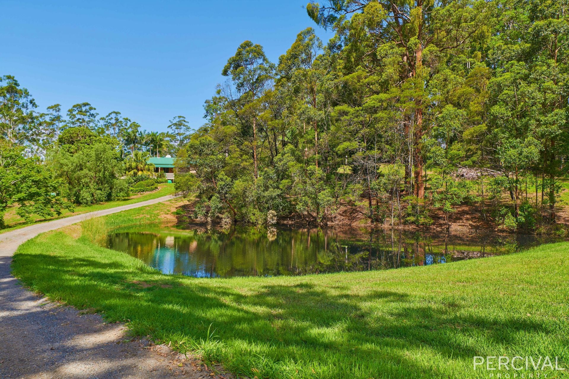 84 Orara Lane Mortons Creek NSW, Mortons Creek - Thumbnail 5