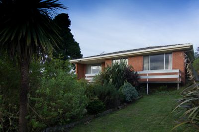 113 Tarleton Street, EAST DEVONPORT, East Devonport - Thumbnail 3