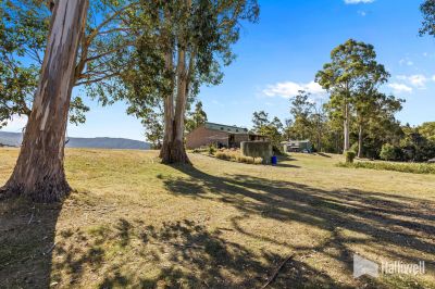 4
 
 
 
  
 
 
 2
 
 
 
  
 
 
 2
 
 
 
 
 
 
 
 2724 Railton Road, Latrobe TAS 7307, Latrobe - Thumbnail 4
