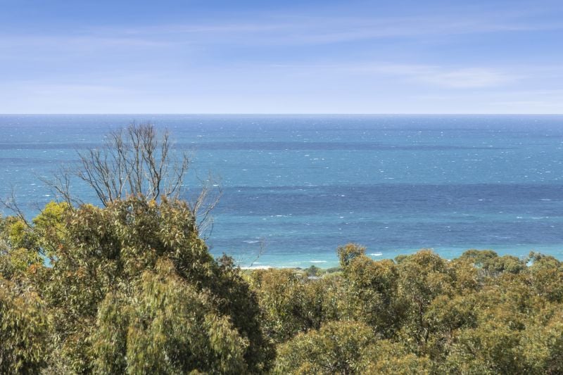 37 Second Avenue, Anglesea, VIC, Anglesea - Thumbnail 4