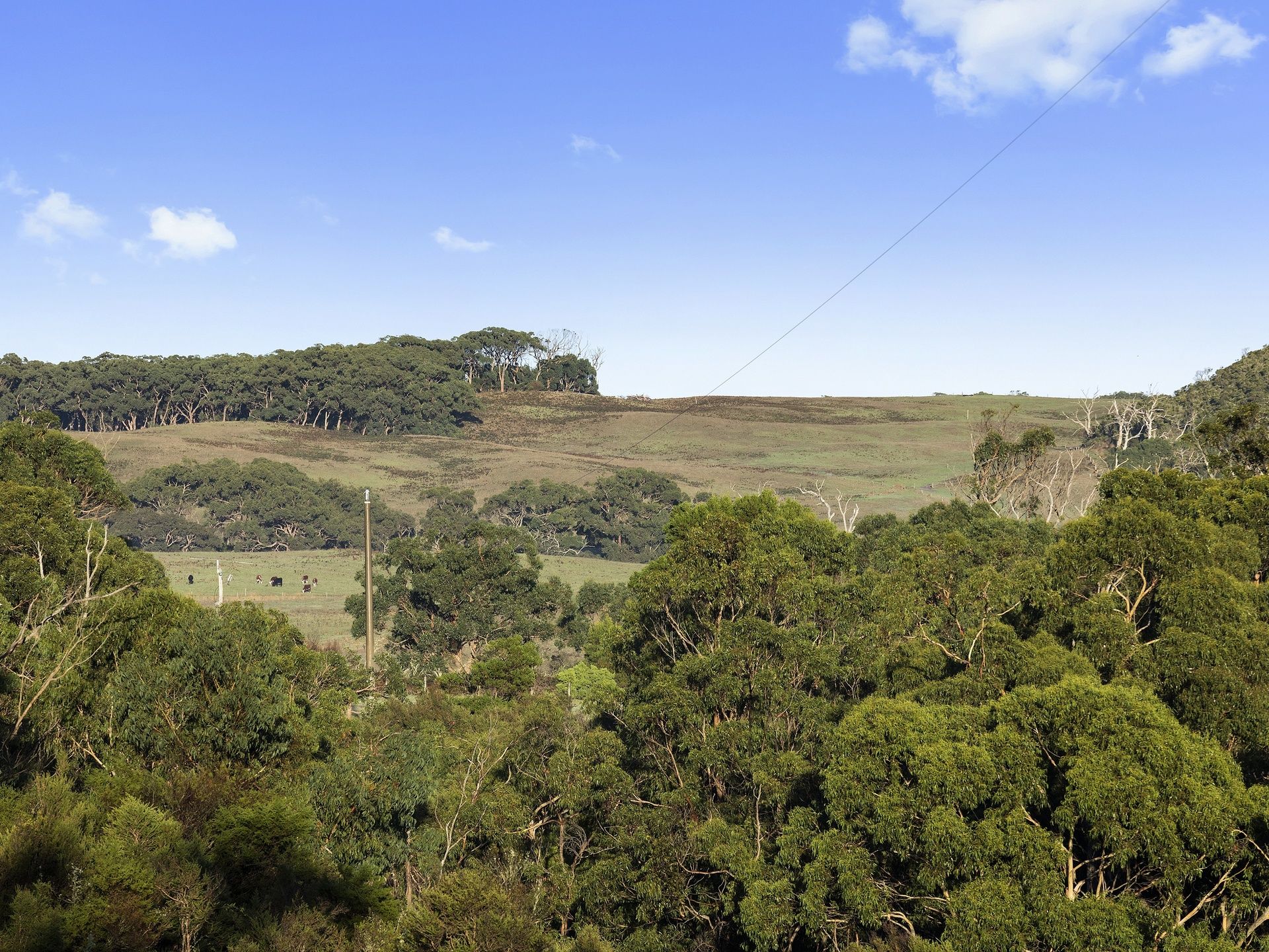 6/615 Hordern Vale Road, Hordern Vale - Image 1