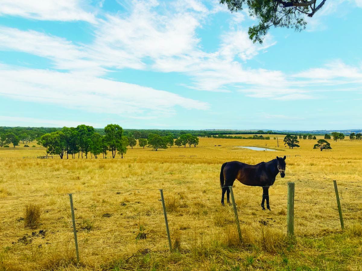 121Ha* Picturesque Farm - minutes from Mernda