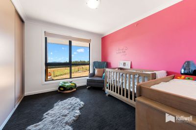 3
 
 
 
  
 
 
 2
 
 
 
  
 
 
 7
 
 
 
 
 
 
 
 130 Maloneys Road, Sunnyside TAS 7305, Sunnyside - Thumbnail 6