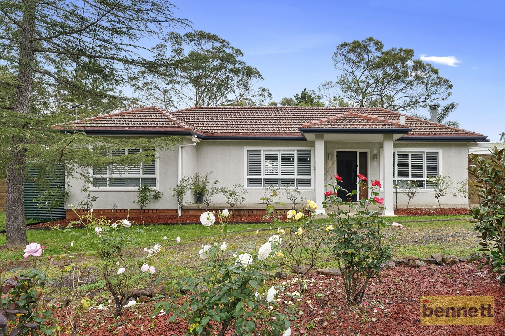 236 Blaxland Ridge Road, Blaxlands Ridge - Thumbnail 2