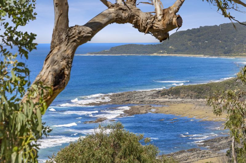 65 Morley Avenue, Wye River, VIC, Wye River - Thumbnail 4