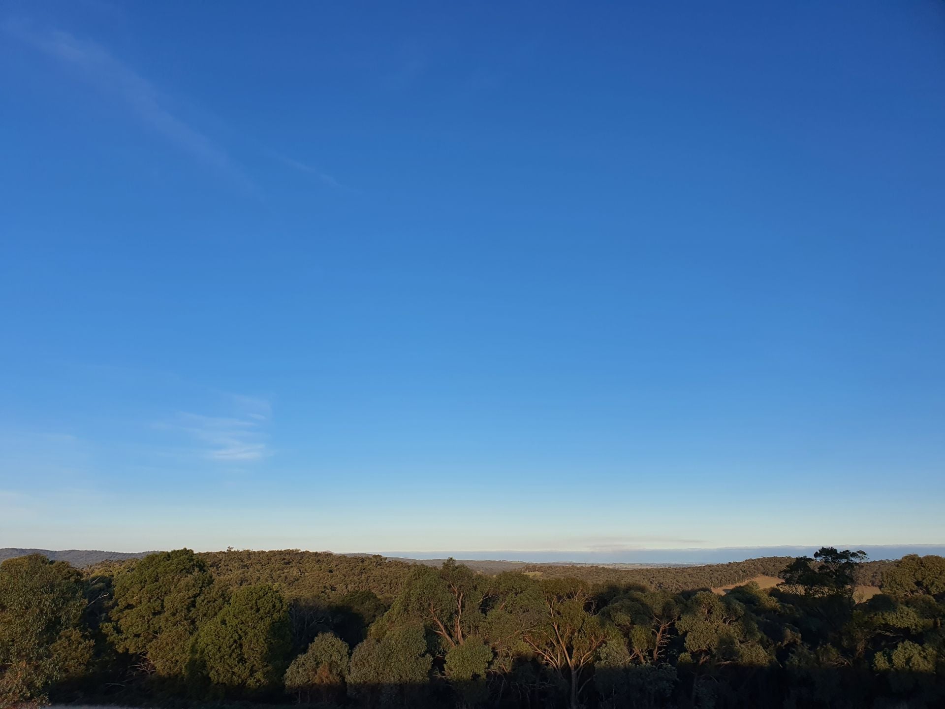 42/ Little King Charlie Lane, Raglan, Raglan, Raglan - Thumbnail 5