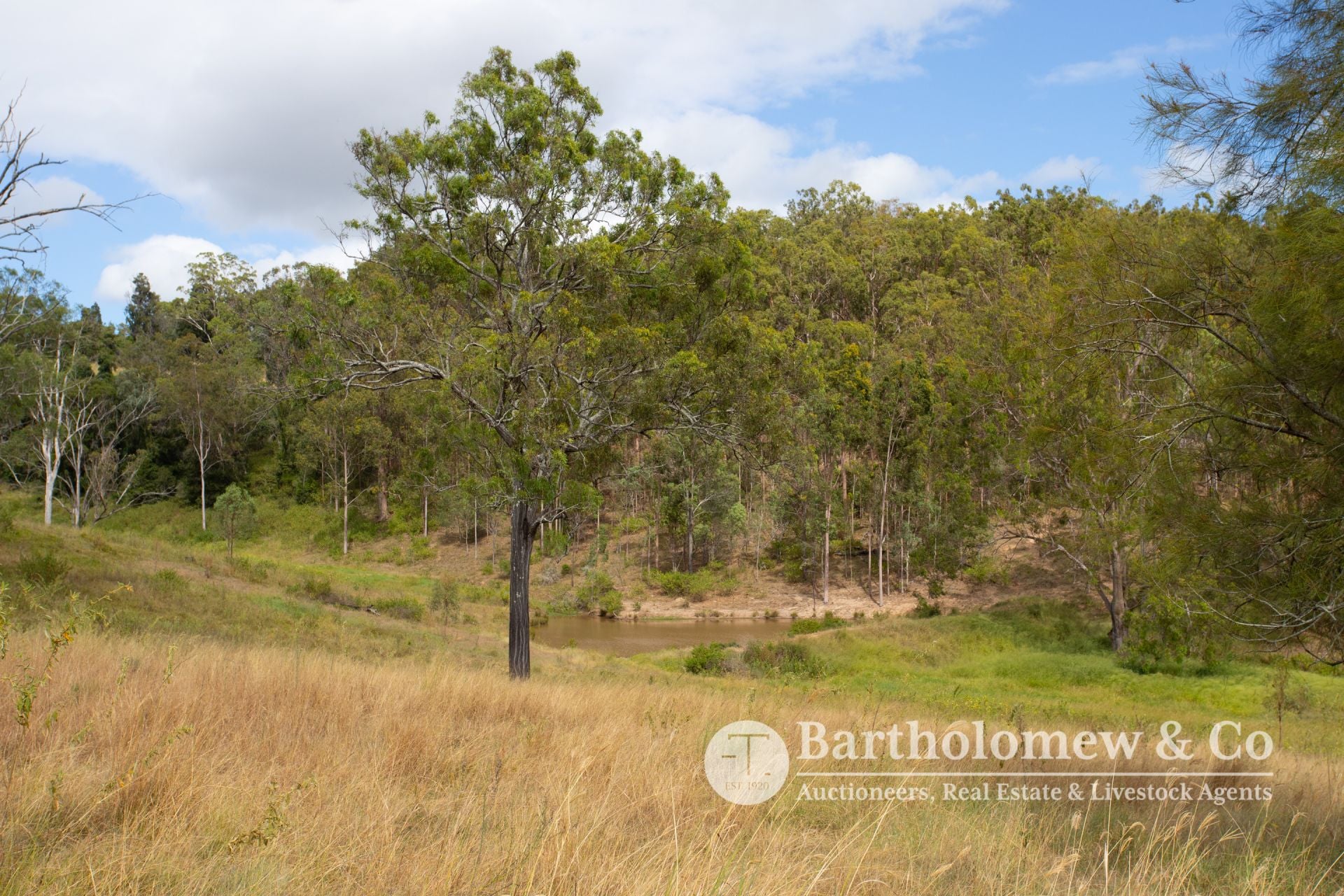 L1/ Schneider Road Allandale QLD, Allandale - Thumbnail 2