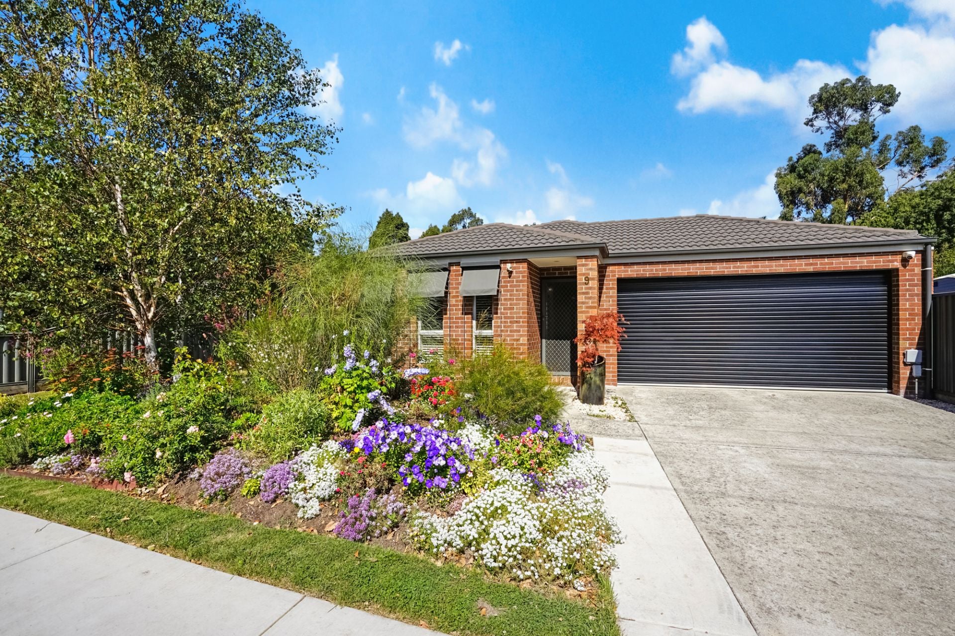 9 Castlemaine Road, Creswick, Creswick - Thumbnail 3