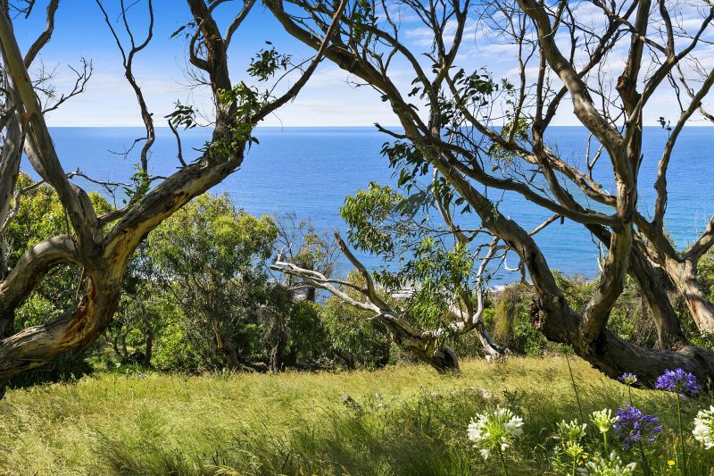 61 Morley Avenue, Wye River, VIC, Wye River - Thumbnail 5