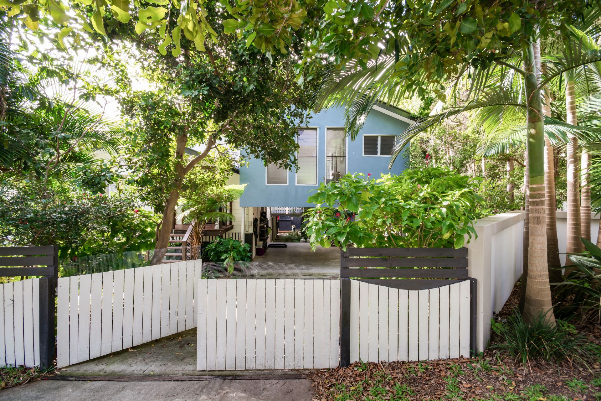 85 Toolga Street Mount Coolum QLD, Mount Coolum - Thumbnail 4