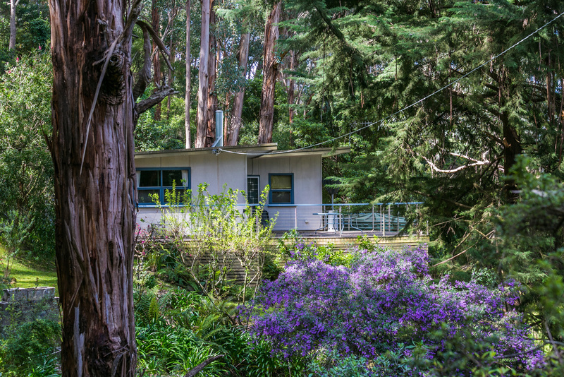 2 Karingal Drive, Wye River, VIC, Wye River - Thumbnail 3