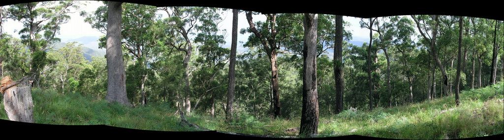 Lot 204 Misty Vale Way, HOLLISDALE NSW 2446