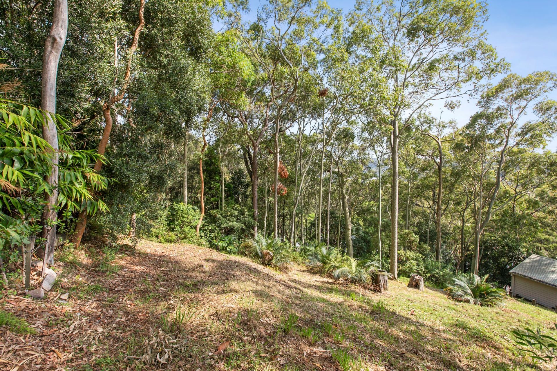 35a Queens Avenue Avalon Beach NSW, Avalon Beach - Thumbnail 3