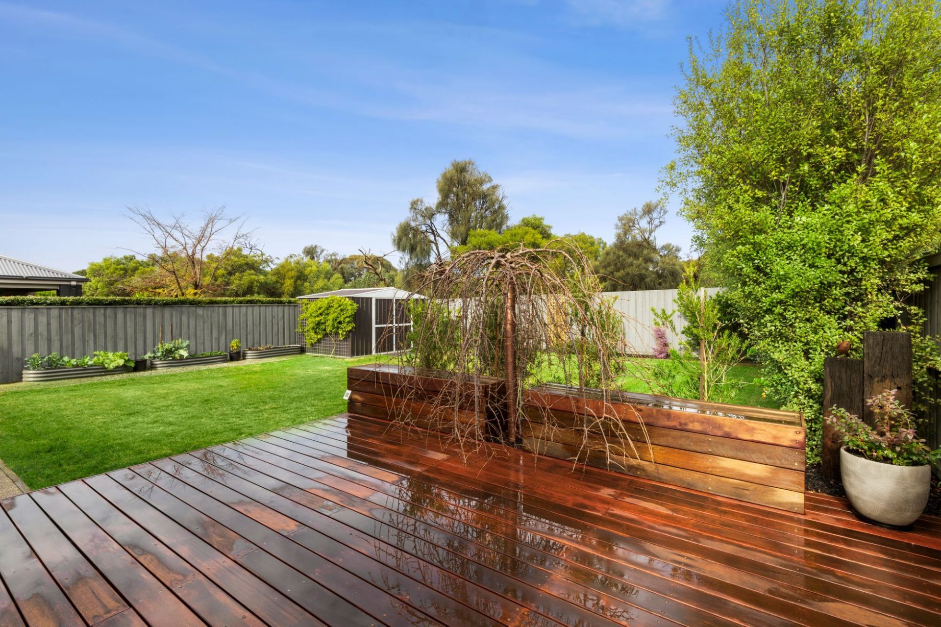 29 Evergreen Circuit Ocean Grove VIC, Ocean Grove - Thumbnail 8