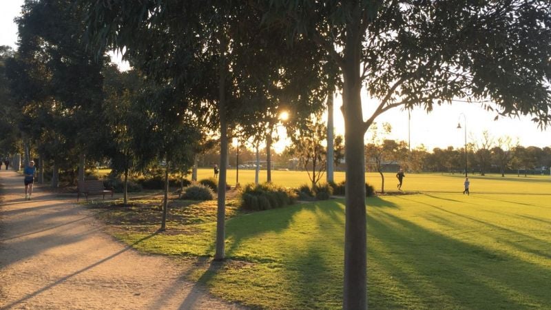 20/401 Alma Road, Caulfield North