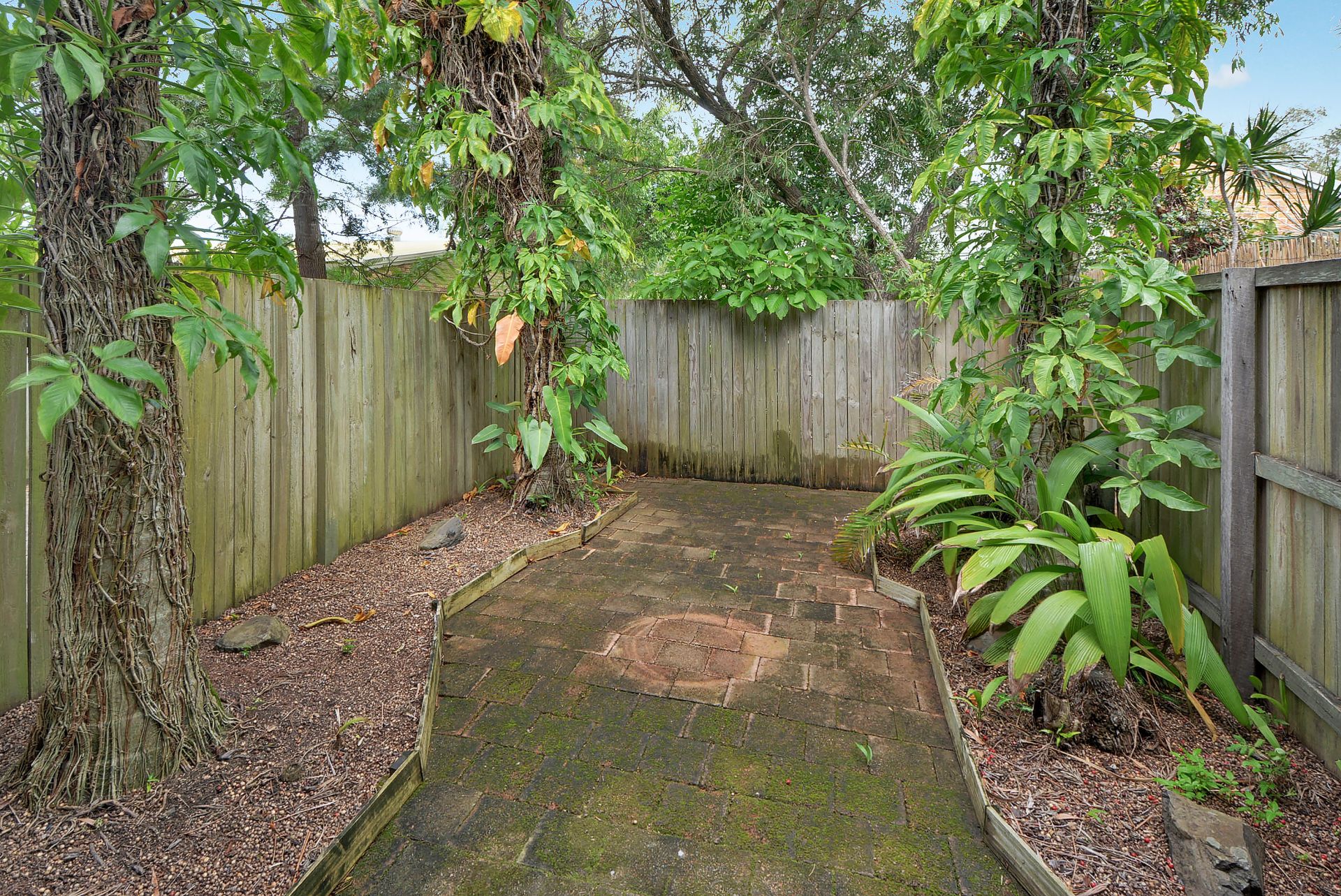 6/131-133 Bundilla Boulevard Mountain Creek QLD, Mountain Creek - Thumbnail 8