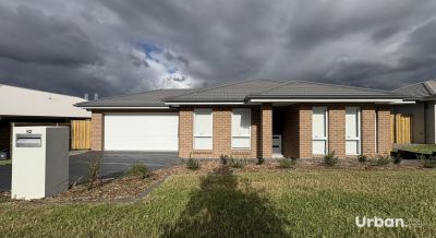 Bellbird 92 Pillar Street