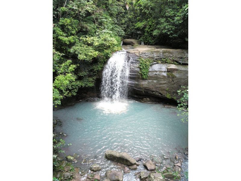 31 Cicada Close BUDERIM QLD, Buderim - Thumbnail 3