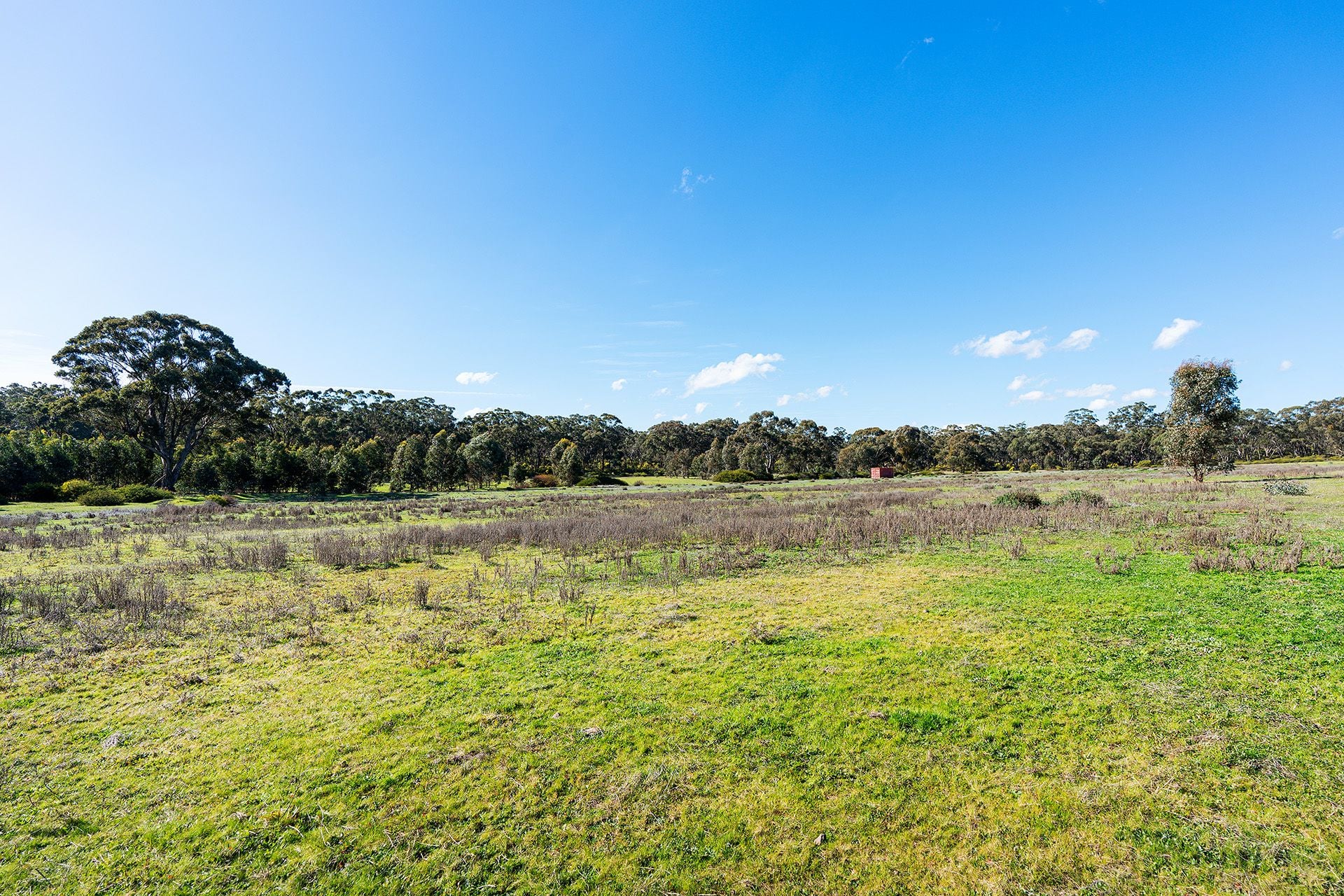 Lot 5, 58 Main Street Eldorado, Harcourt - Thumbnail 7