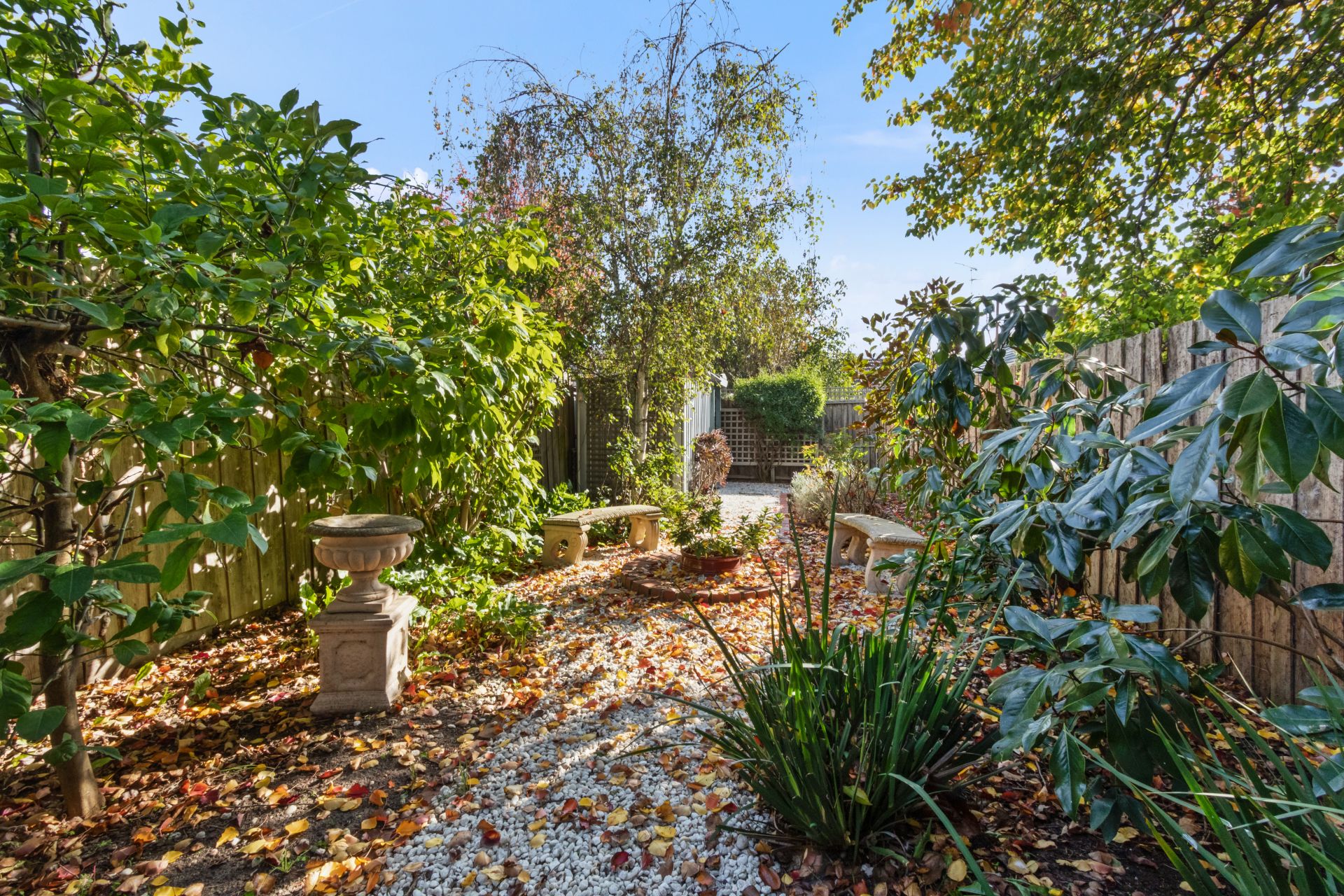 Victorian Delight