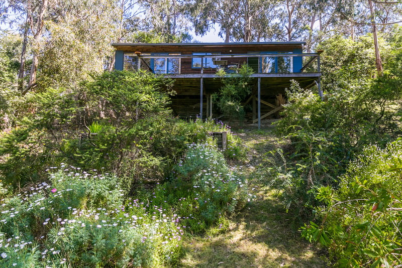 11 Cassidy Drive, Kennett River, VIC, Kennett River - Thumbnail 8