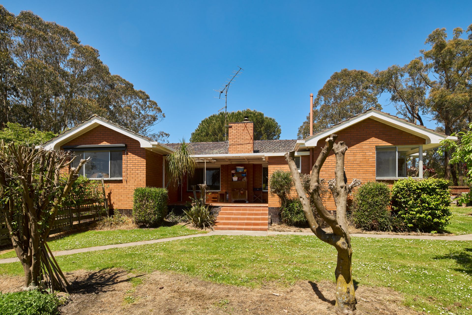 223 DarnumShady Creek Road, Darnum OBrien Real Estate